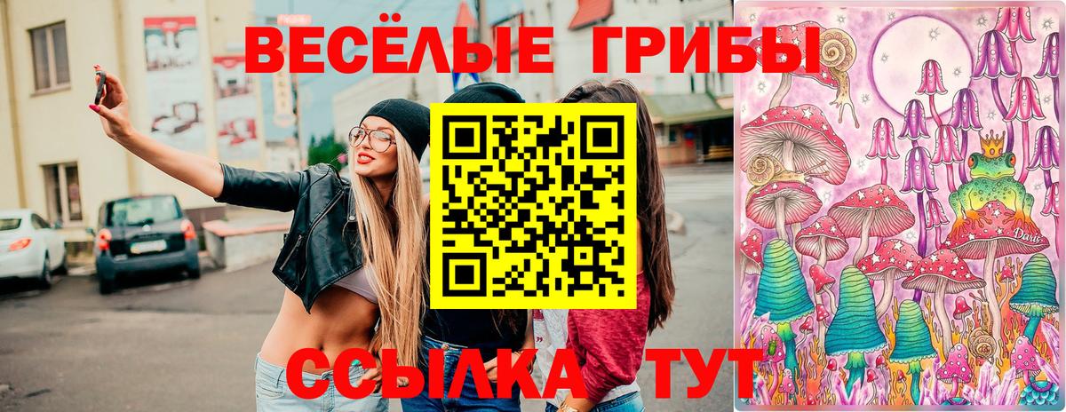 МЕФ Урус-Мартан